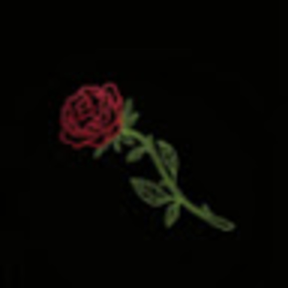 Meet your Posher, Alexis - Picture 1 of 1